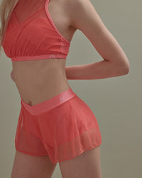 Shishi Mesh Skirt Pants (Fanta)
